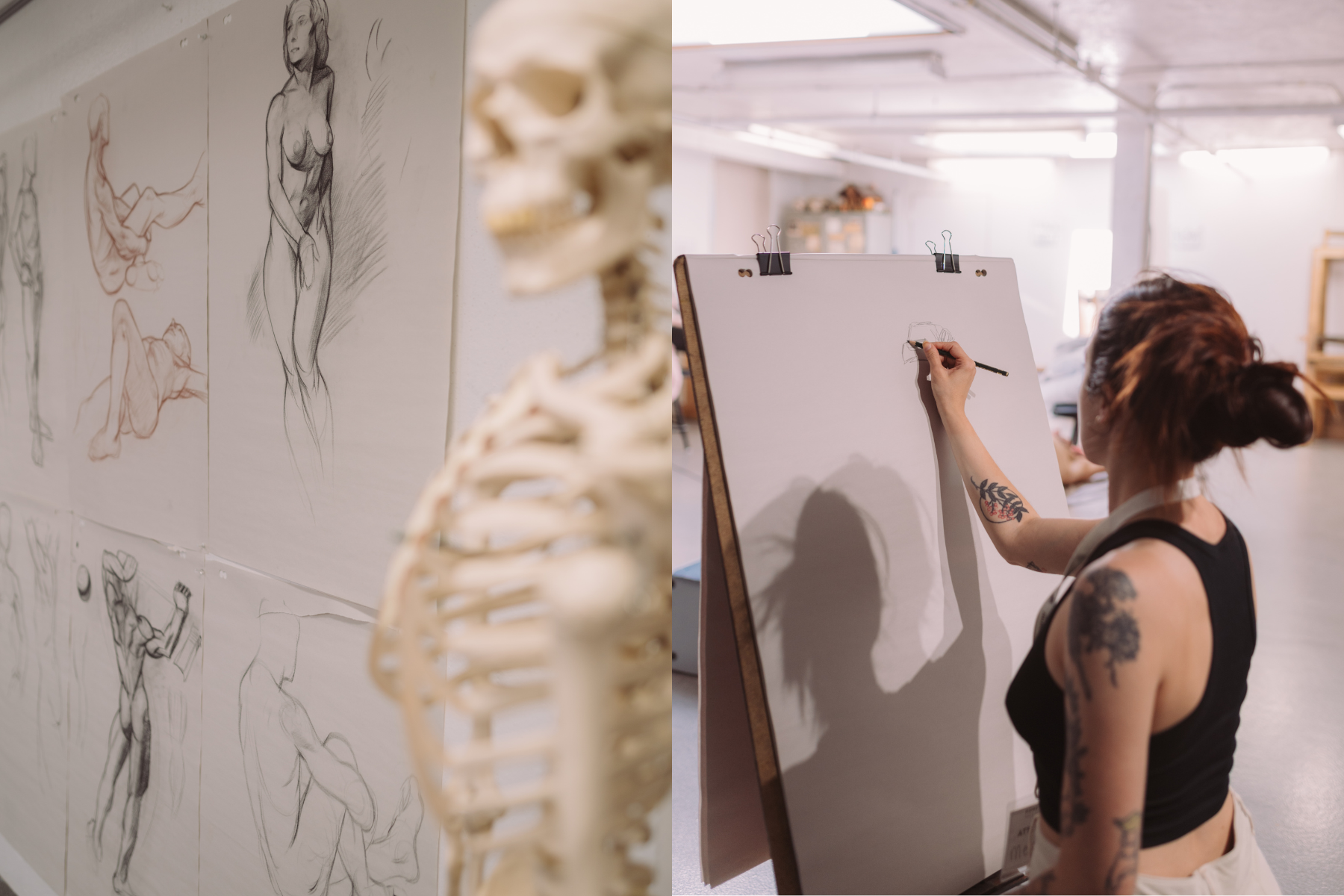 A student drawing at an easel while a skeleton and sketches of nude models hand beside the easel.